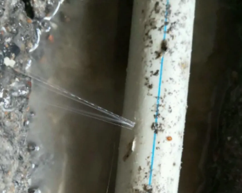 桑珠孜卫生间测漏水多少钱