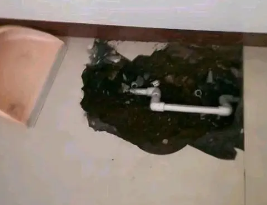 桑珠孜卫生间测漏水多少钱